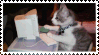Grey and white kitten typing on a mini computer