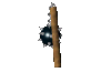A medieval-style mace spinning to the right