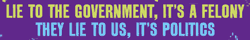 LIE TO THE GOVERNMENT, IT'S A FELONY / THEY LIE TO US, IT'S POLITICS