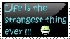 Life is the strangest thing ever!!!